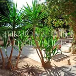 Apartment Front-row - Skyline Retreat - Pool Access Larnaka