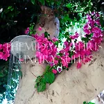 Daire Front-row - Skyline Retreat - Pool Access *