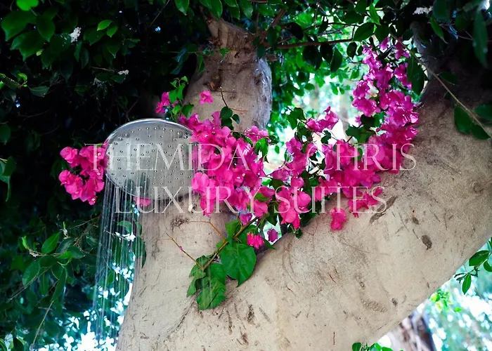 Апартаменти Front-row - Skyline Retreat - Pool Access *